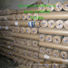 China Wholesale Professional Manufacture Galvanized Welded Wire Mesh